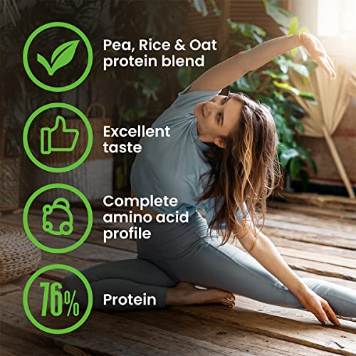 VPlab Vegan Protein Powder 500g - 16 Servings, 100% Plant Based and Natural Vegan Protein Shake vplab nutrition buy supplements canada