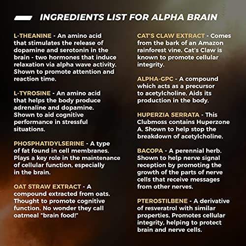 ONNIT Alpha Brain (60ct) - Over 1 Million Bottles Sold - Premium Nootropic Brain Supple ONNIT buy supplements canada