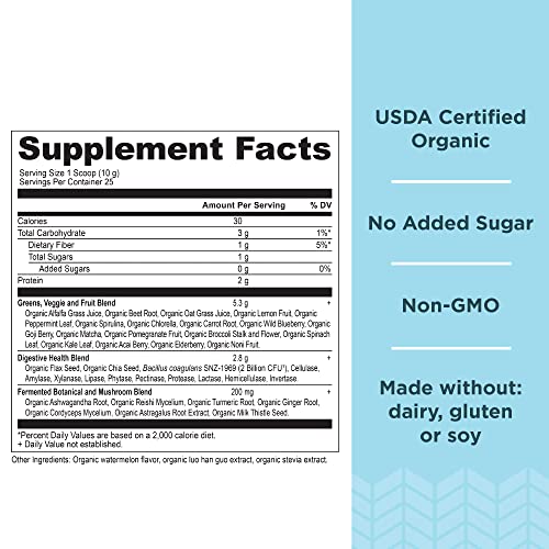 Ancient Nutrition Organic Watermelon Supergreens, 8.82 OZ Ancient Nutrition buy supplements canada