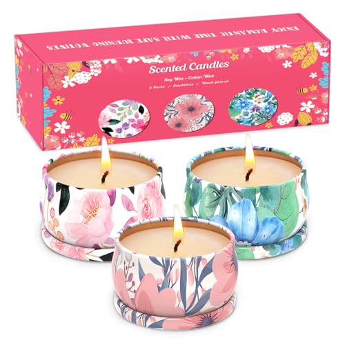 3 Pack Scented Candles Set for Christmas Thanksginving Gift, Relaxing Aromatherapy Candles Gift Henaler buy supplements canada