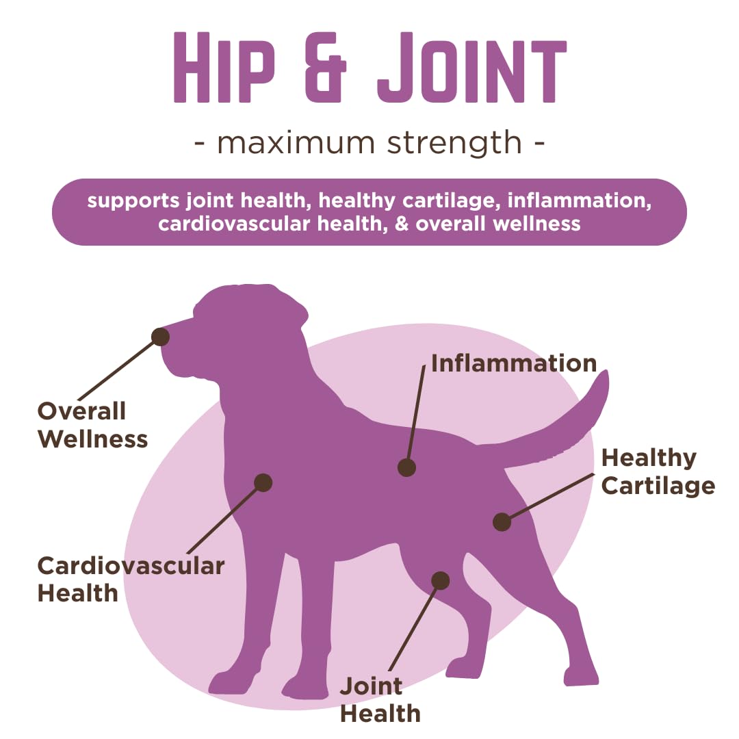 Dr. Joseph's VetPro Complete Dog Hip & Joint Supplement for Arthritis Pain Relief – High-Strength Glucosamine & Chondroitin Chews for Senior Dogs – Vet Formulated Daily Treats, Chicken Flavor, 60 Ct VetPro Complete buy supplements canada
