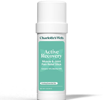 Charlotte's Web Active Recovery Muscle & Joint Pain Relief Stick 1oz Charlotte's Web buy supplements canada