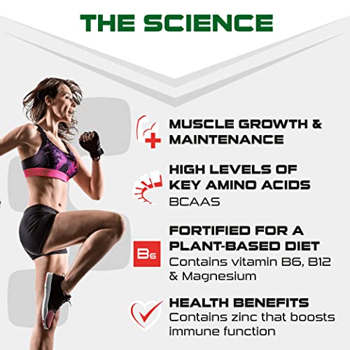 SCI-MX Pro-V Gain - 100% Vegan Chocolate Flavour Soy Protein Powder Isolate + B12 + Magnesium SCI-MX buy supplements canada