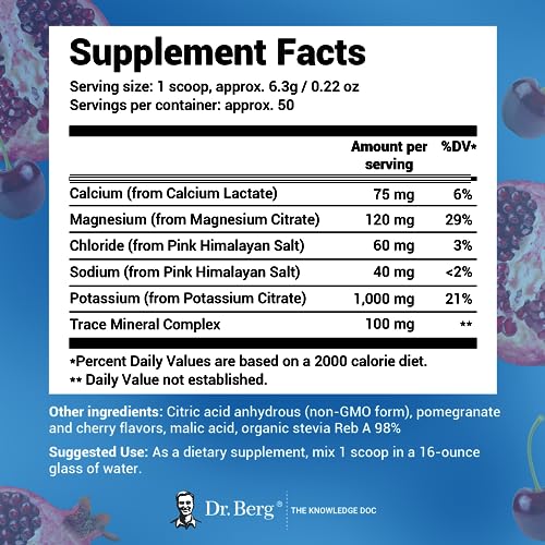 Dr. Berg Hydration Keto Electrolyte Powder - Enhanced w/ 1,000mg of Potassium Dr. Berg Nutritionals buy supplements canada