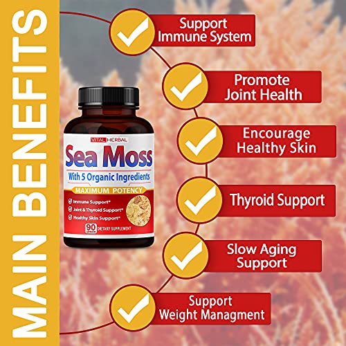 VITAL HERBAL Irish Sea Moss Capsules Equivalent to 5450mg - Maximum Potency VITAL HERBAL buy supplements canada