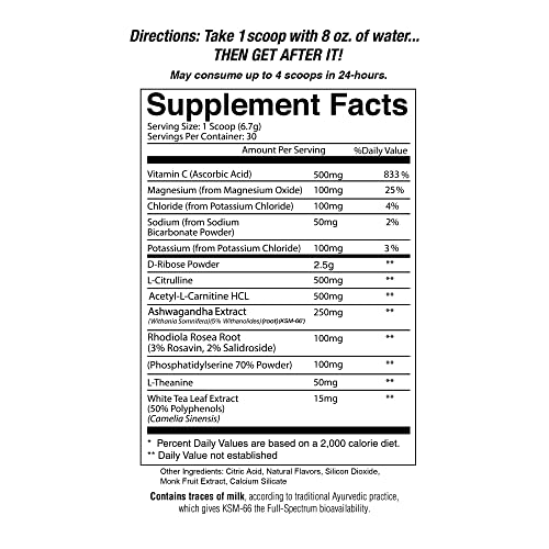 Origin Jocko Fuel Stim Free Pre Workout Powder with L-Citrulline, Nootropic for Endurance Jocko Fuel buy supplements canada