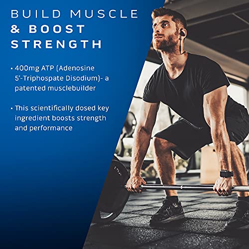 MuscleTech Muscle Building Supplements for Men & Women - Nitric Oxide MuscleTech buy supplements canada