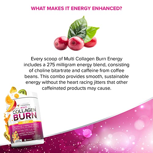 Multi Collagen Burn: Multi-Type Hydrolyzed Protein Peptides with Hyaluronic Acid, Vitamin Vitauthority buy supplements canada
