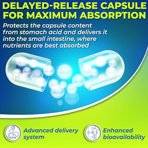 Probiotics with Digestive Enzymes and Prebiotic for Women and Men - 3-In-1 Vegan Probiotic SUPPLEMENTS STUDIO buy supplements canada