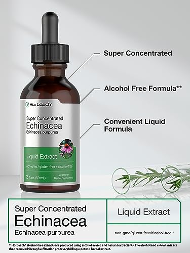Echinacea Drops Liquid Extract | 2 fl oz | Super Concentrated Tincture | Alcohol Free Horbäach buy supplements canada