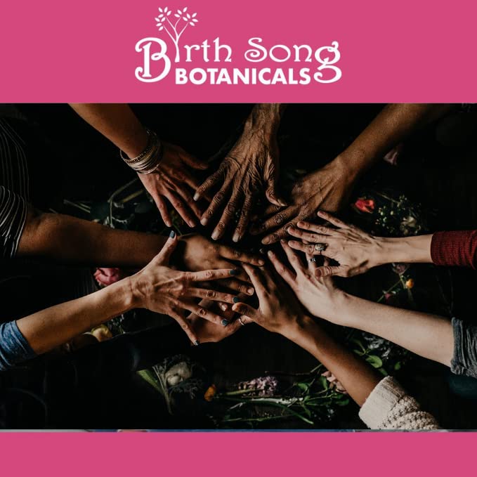 Birth Song Botanicals Menstrual Harmony Tincture, Herbal Period Symptom Support Birth Song Botanicals buy supplements canada