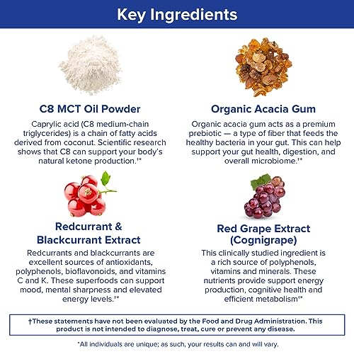 Gundry MD MCT Wellness Powder to Support Energy, Ketone Production and Brain Health Gundry MD buy supplements canada