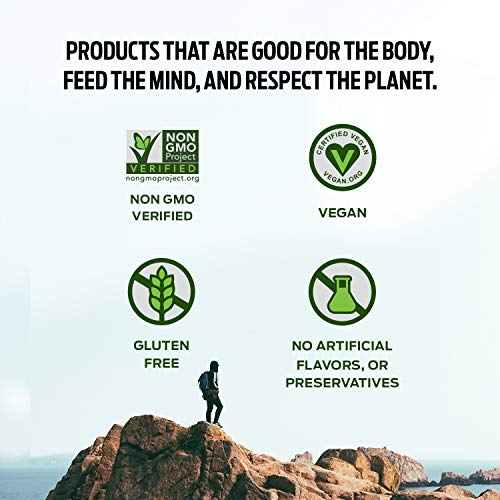Vega Protein Made Simple, Dark Chocolate - Stevia Free Vegan Protein Powder Vega buy supplements canada