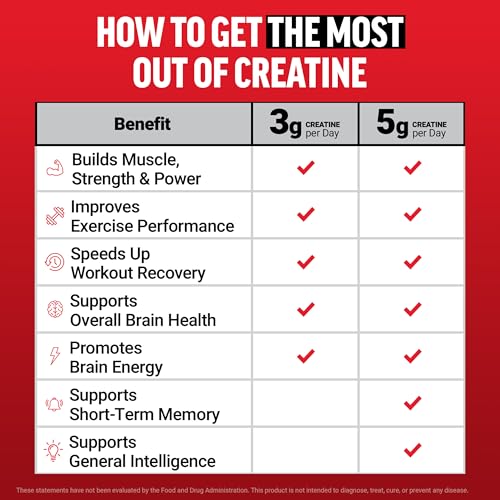Force Factor Creatine Monohydrate Gummies, NSF Certified, 5g Dose for Men & Women to Support Muscle, Strength, Recovery, Cognitive Health & Memory, Packaging May Vary, Blue Raspberry, 150 Gummies Force Factor buy supplements canada