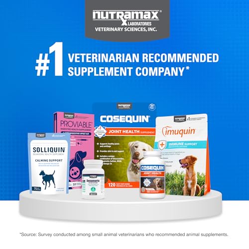 Nutramax Cosequin for Dogs Joint Health Supplement, Contains Glucosamine, Plus Chondroitin, MSM and Omega-3s, Supports Joint and Skin and Coat Health, Soft Chews, 120 Count Nutramax Laboratories buy supplements canada