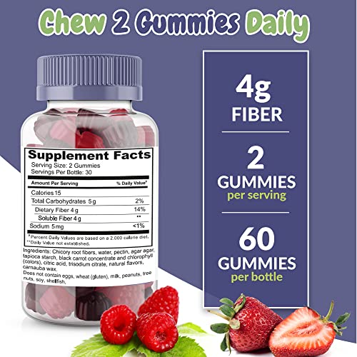 Fiber Prebiotic Gummies Sugar Free, Keto Friendly 2 Pack | Gut Cleansing, Digestive Health Health Supplied buy supplements canada