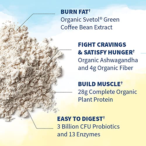 Garden of Life Raw Organic Fit Vegan Protein Powder Vanilla, 28g Plant Based Protein Garden of Life buy supplements canada