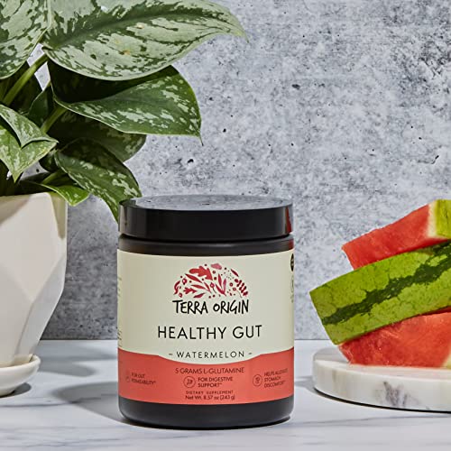 TERRA ORIGIN Healthy Gut Watermelon | 30-Servings with L-Glutamine, Zinc TERRA ORIGIN buy supplements canada