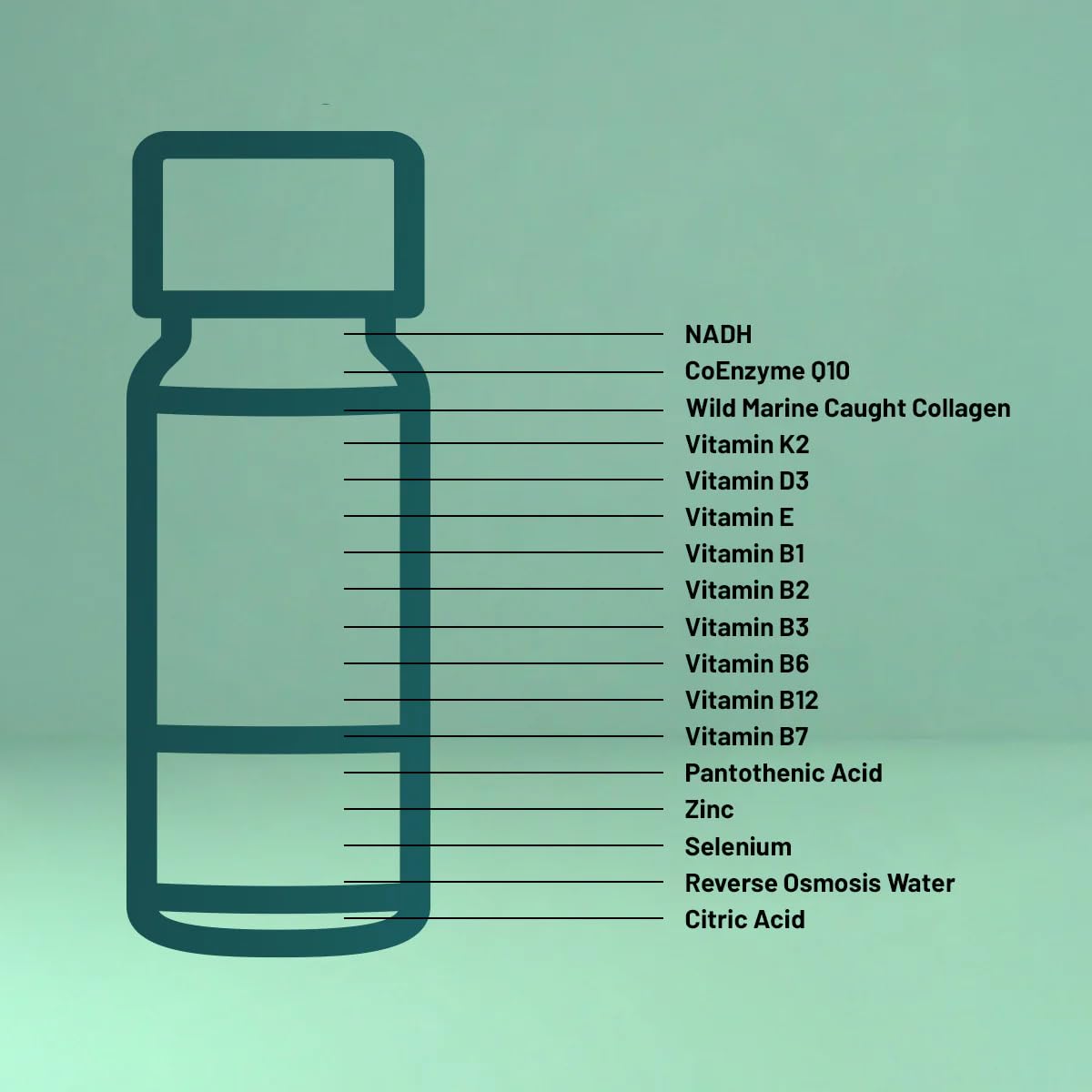 Strong Cell | Cellular Function Booster Liquid | NADH, CoQ10, Collagen. 90+% Absorption Rate. Vitamins B1, B2, B3, B6, B7, and B12. Vitamin K2 | 30 Count. Wellura buy supplements canada