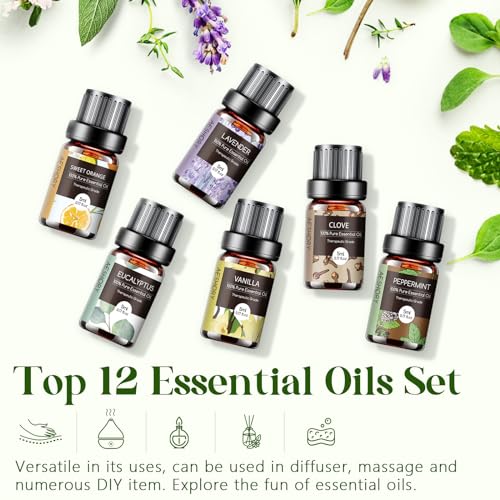 Essential Oils Set - 12 Pcs Aromatherapy Essential Oil Kit for Diffuser, Humidifier, Aromatherapy, Massage Aeshory buy supplements canada