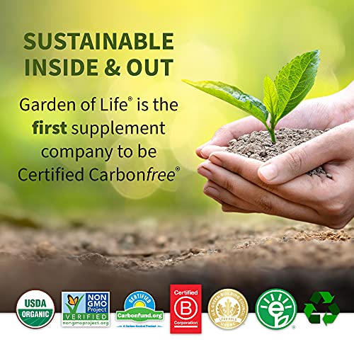 Garden of Life Grass Fed Collagen Beauty - Strawberry Lemonade, 20 Servings - Collagen Garden of Life buy supplements canada
