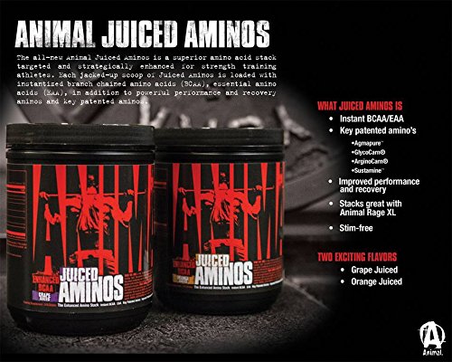 Animal Creatine Chews Tablets - Enhanced Creatine Monohydrate with AstraGin to Improve Animal buy supplements canada