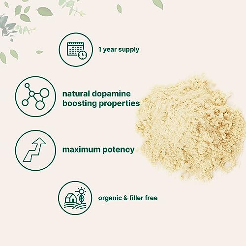 Micro Ingredients Organic Mucuna Pruriens Extract Powder,1 Pound (908 Servings) Micro Ingredients buy supplements canada