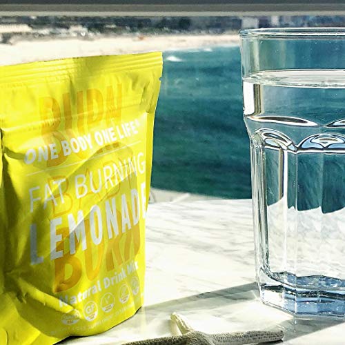Fat Burning Lemonade Stimulant Free Weight Loss and Energy Drink Mix for Women & Men One Body One Life buy supplements canada