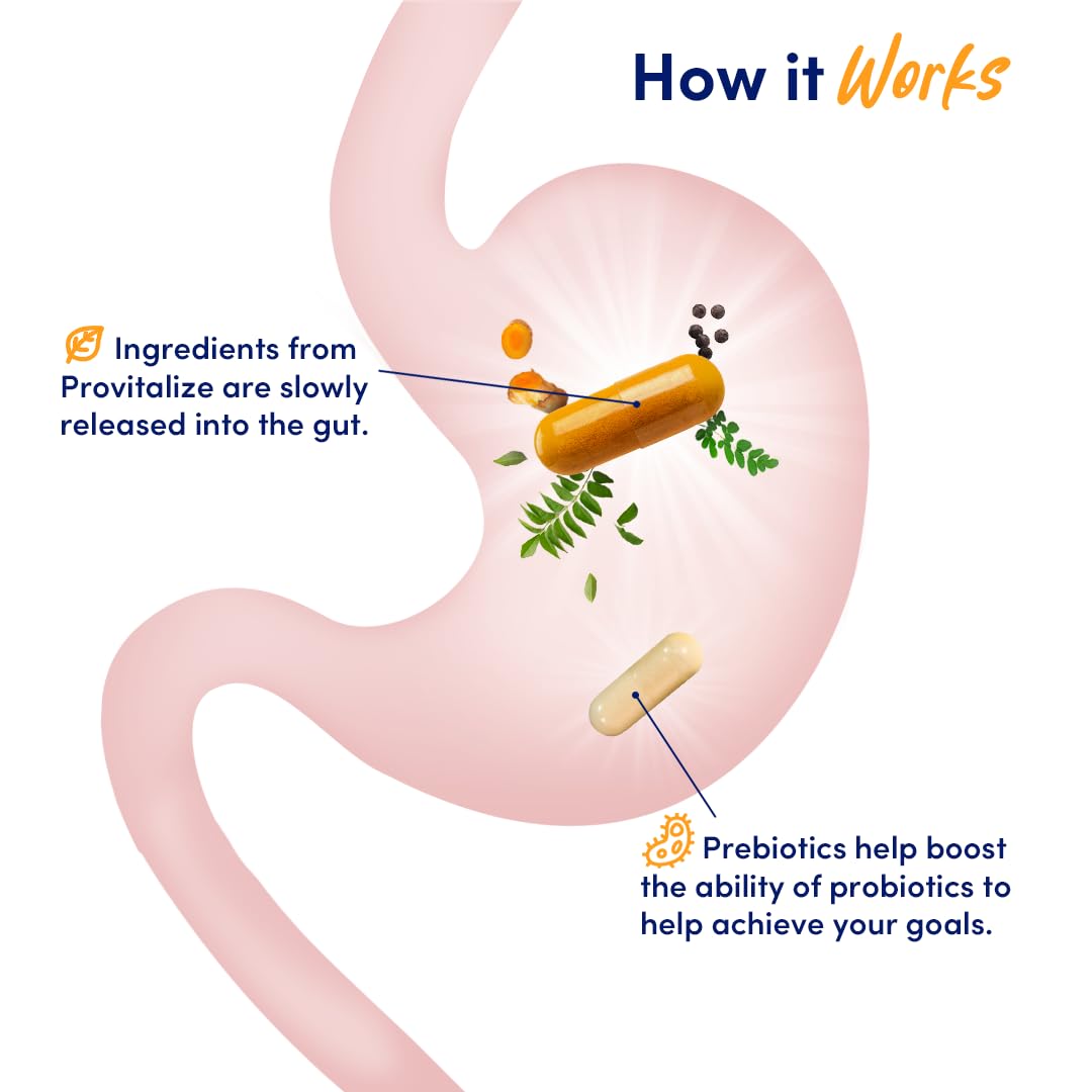 Better Body Co. Original Slim Gut Bundle | Provitalize & Previtalize Bundle - Natural Menopause Better Body Co. buy supplements canada