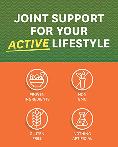 Zenwise Health Glucosamine Chondroitin MSM - Joint Support Supplement with Turmeric Zenwise Health buy supplements canada