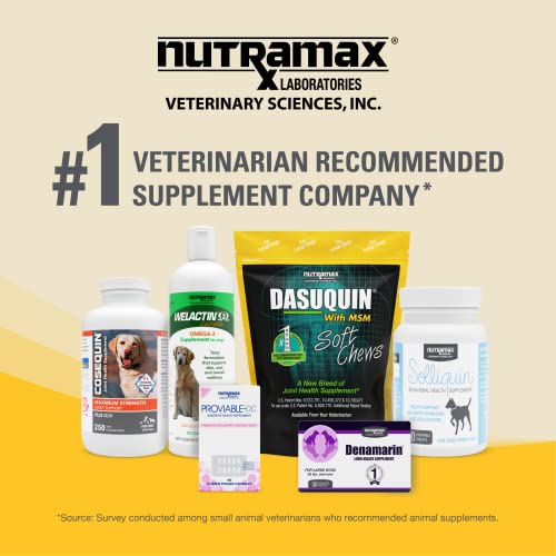 Nutramax Laboratories Dasuquin with MSM Joint Health Supplement for Large Dogs Nutramax Laboratories buy supplements canada
