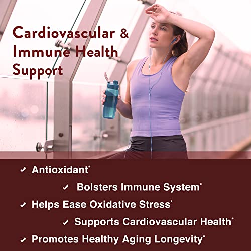 Sandhu's Zinc Quercetin 120 Vegetarian Capsules – Zinc Supplements for Antioxidant Sandhu's buy supplements canada