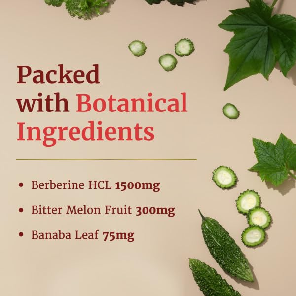 Berberine HCL 1500mg for Weight Management | Botanical Keto Inducing Berberine Supplement Nobi Nutrition buy supplements canada