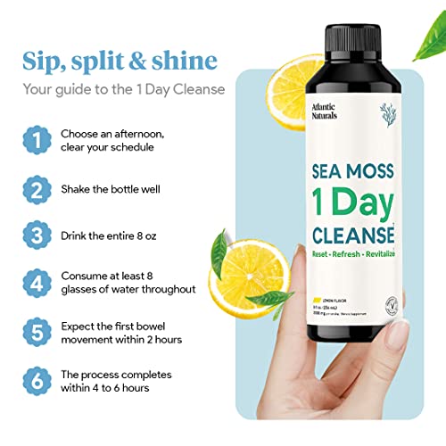 Sea Moss 1 Day Cleanse - Full Body Detox to support bowel movements, Kidney Health Atlantic Naturals buy supplements canada