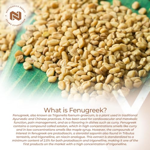 Nootropics Depot Fenugreek Extract Capsules | 500mg | 60 ct | 2.5% Trigonelline Nootropics Depot buy supplements canada