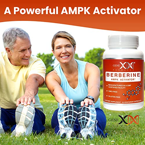 GENEX Berberine HCl 500mg (90 Capsules) | Powerful AMPK Activator, Supports Heart Genex Formulas buy supplements canada