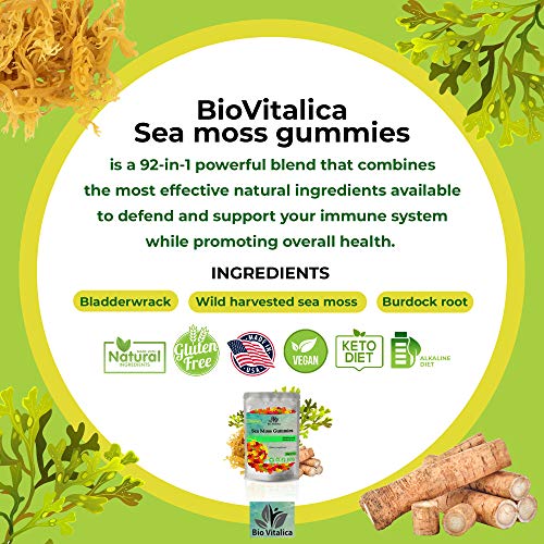 Sea Moss Gummies - Irish sea Moss raw Organic, Bladderwrack, Burdock Root BIO VITALICA buy supplements canada
