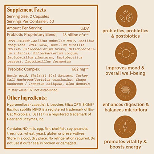 Solluna by Kimberly Snyder Feel Good SBO Probiotics Soil Based Organisms (SBOs) Solluna by Kimberly Snyder buy supplements canada