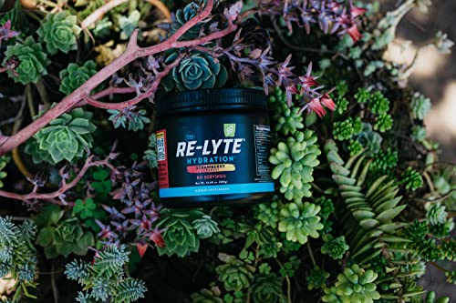 REDMOND Re-Lyte Hydration Electrolyte Mix (Strawberry Lemonade) REDMOND buy supplements canada