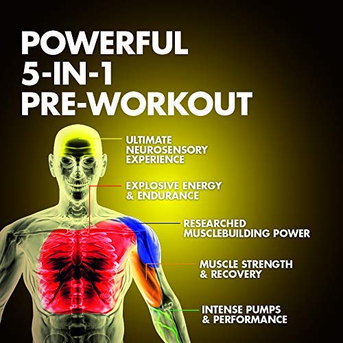Pre Workout Powder | MuscleTech Vapor X5 for Men & Women, Energy Drink Mix Sports MuscleTech buy supplements canada