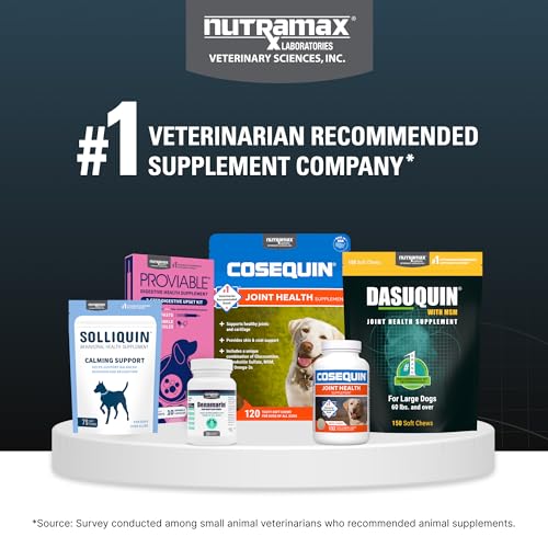 Nutramax Dasuquin for Small to Medium Dogs, Joint Health Supplement, Contains Glucosamine for Dogs, Plus Chondroitin, ASU, MSM and More, Supports Healthy Joints, Chewable Tablets, 150 Count Nutramax Laboratories buy supplements canada