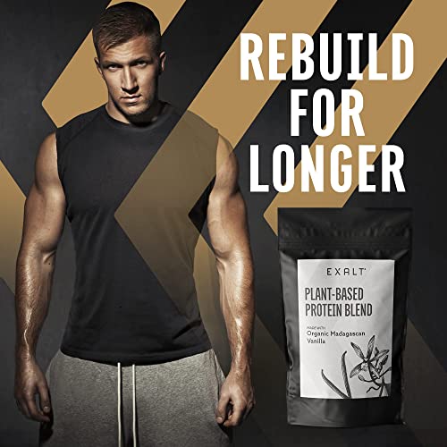EXALT Vegan Protein Powder - 100% Plant-Based – Gluten Free - Keto Friendly EXALT buy supplements canada