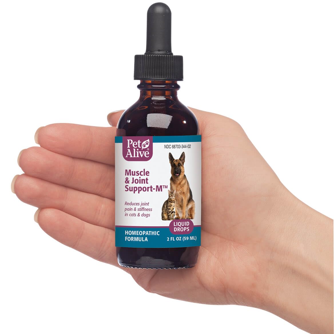 PetAlive Muscle and Joint Support-M - Natural Homeopathic Formula for Joint Pain and Stiffness in Pets - Supports Joint Health and Movement in Dogs and Cats - 59 mL PetAlive buy supplements canada