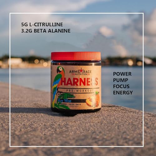 Arms Race Nutrition Harness Pre-Workout, 20 Servings (Key West) Arms Race Nutrition buy supplements canada