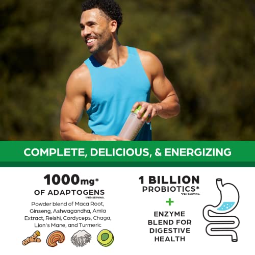 Orgain Organic Perfect Meal Replacement Protein Powder, Chocolate - 25g Plant Based Orgain buy supplements canada