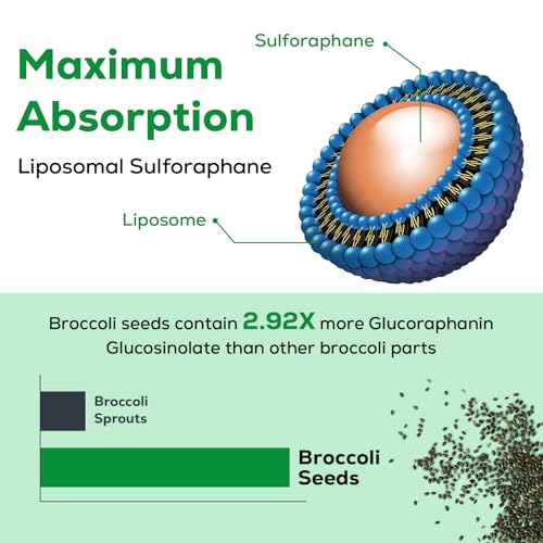 Osasuna Liposomal Sulforaphane 450MG, Maximum Absorption Osasuna buy supplements canada