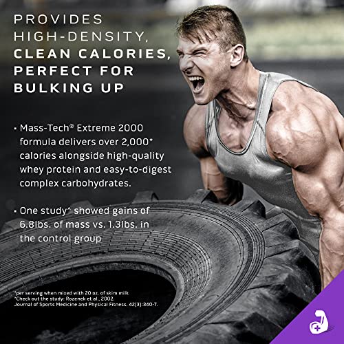 MuscleTech Mass Gainer Protein Powder, Mass-Tech Extreme 2000, Muscle Builder MuscleTech buy supplements canada