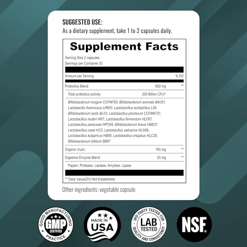 UpNourish Probiotics - 200 Billion CFUs, 15 Strains, Prebiotics & Enzymes - 60 Vegan Cap UpNourish buy supplements canada