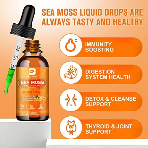 B BEWORTHS Sea Moss Liquid Drops - Organic Irish Sea Moss Raw Gel with Burdock Root B BEWORTHS buy supplements canada