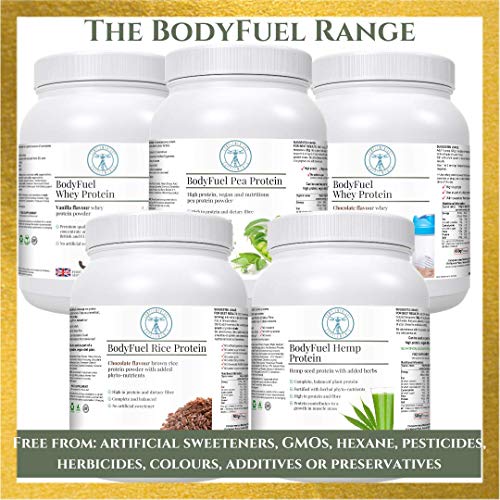 Complementary Supplements - BodyFuel Whey Protein Isolate & Concentrate Chocolate Flavour Complementary Supplements buy supplements canada